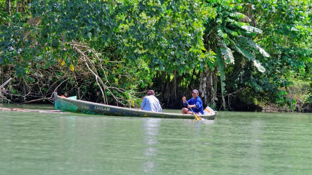 25 - Tortuguero NP (10).jpg